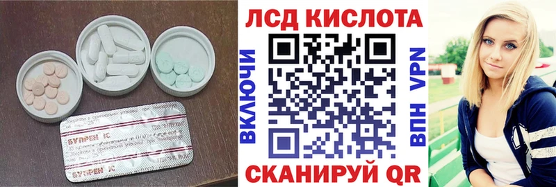 ЛСД экстази кислота  где продают   блэк спрут ССЫЛКА  Шенкурск 
