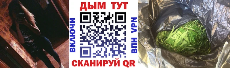 МАРИХУАНА индика  площадка Telegram  Шенкурск  купить закладку  гидра ссылка 